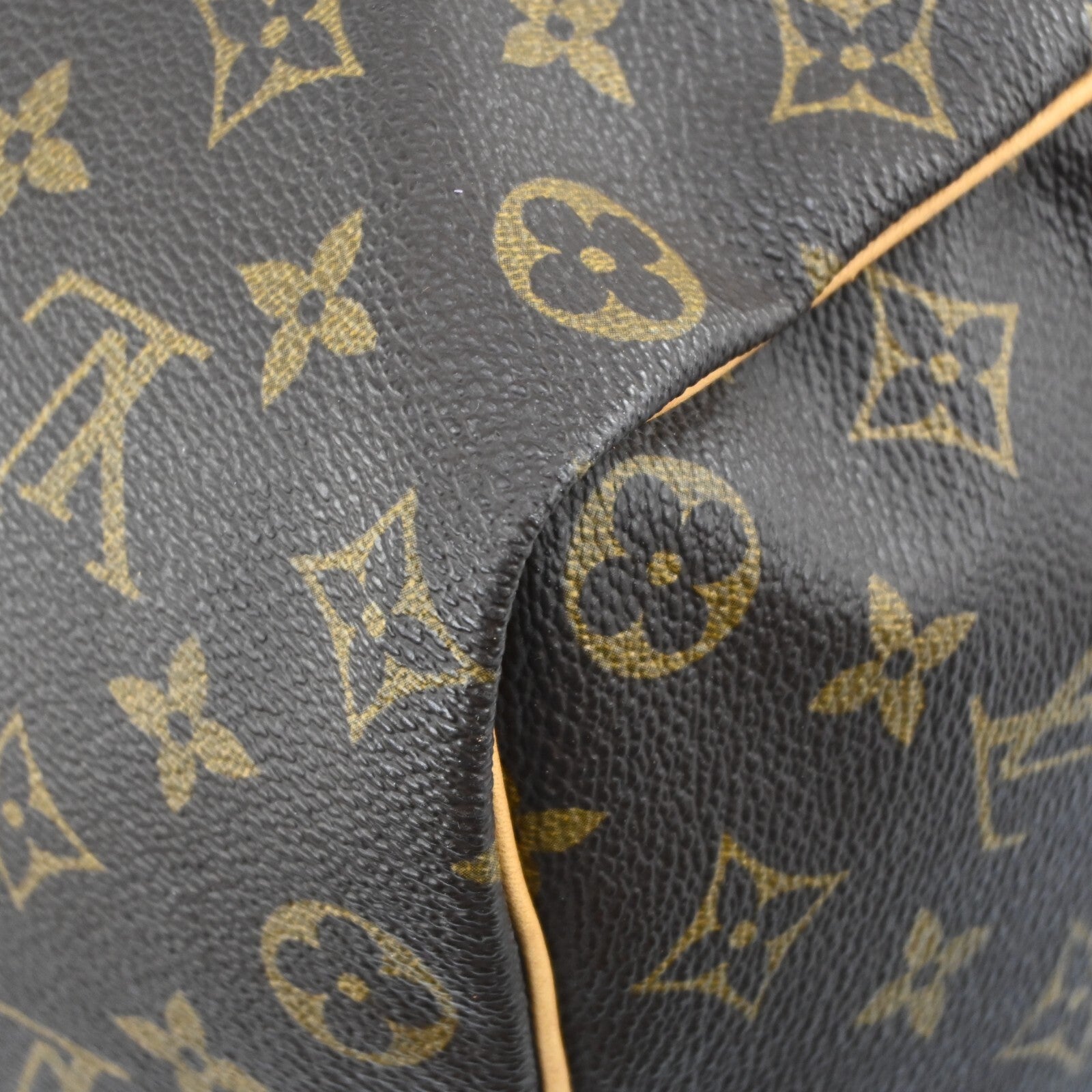 Louis Vuitton Speedy