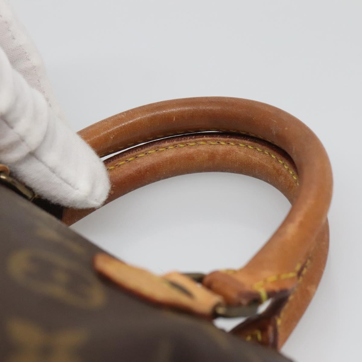 Louis Vuitton Mini Speedy Bag – Monogram Canvas