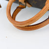 Louis Vuitton Speedy