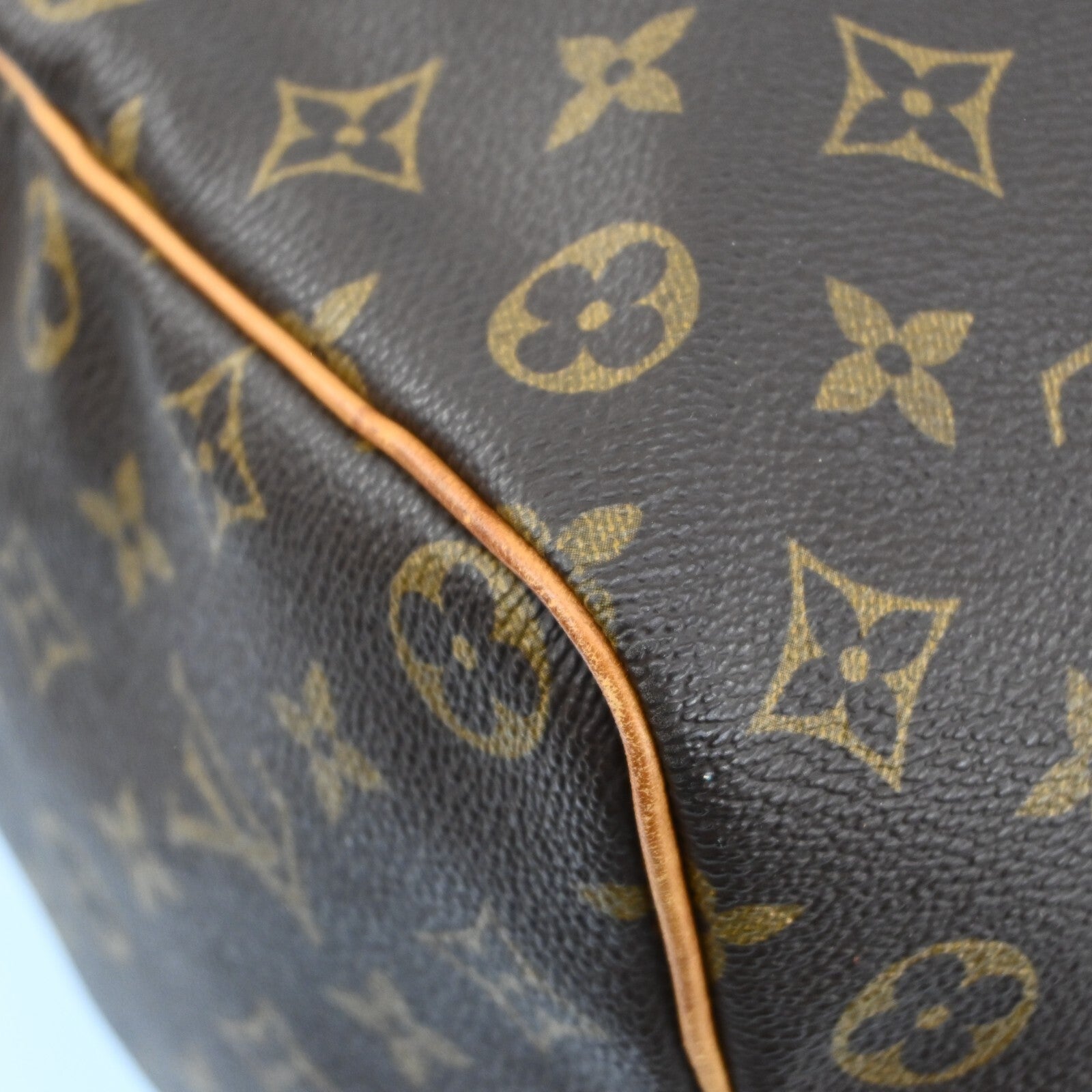 Louis Vuitton Speedy