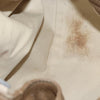 Chloe Paddington Bag - Brown Leather