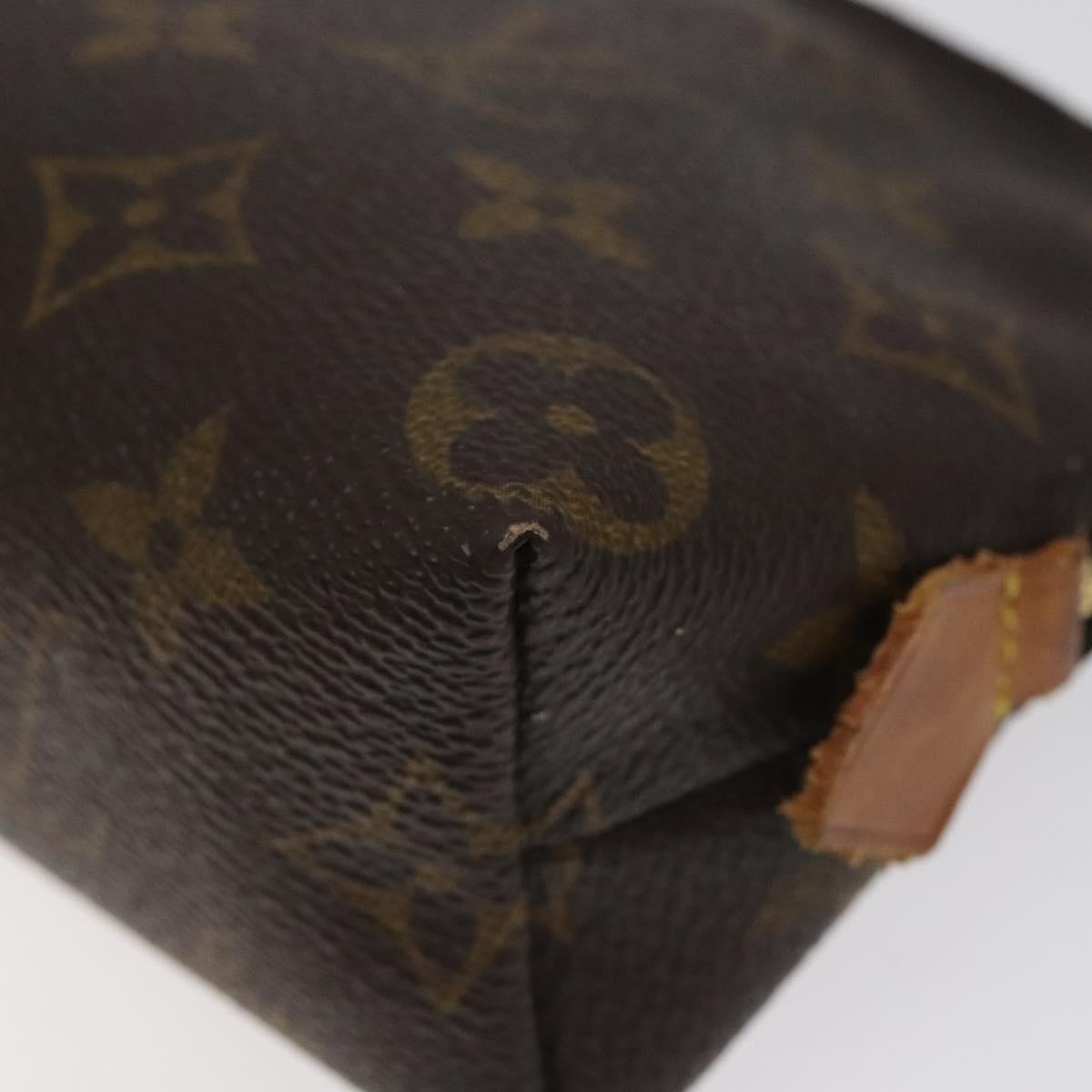 Louis Vuitton Cosmetic Pouch PM