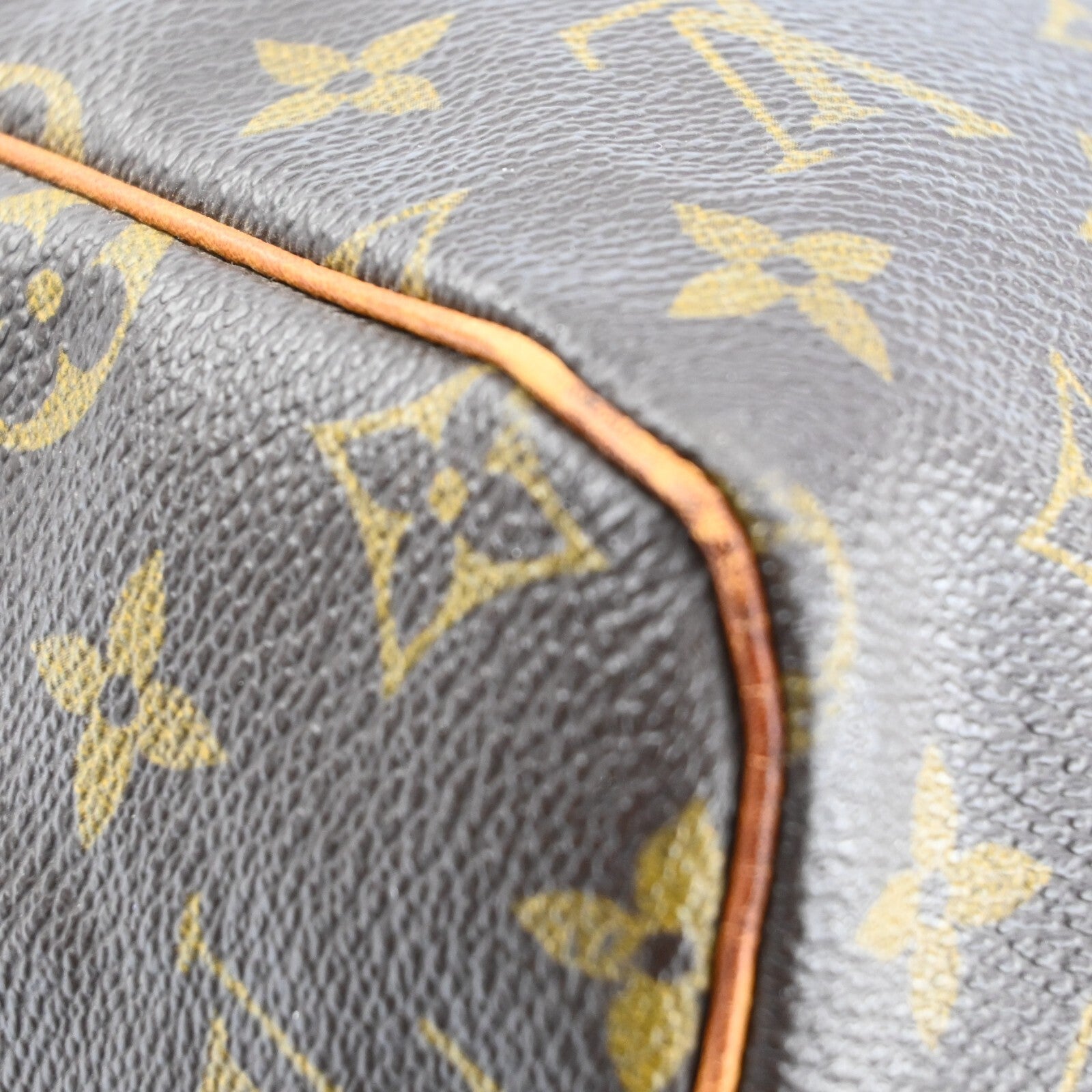 Louis Vuitton Speedy