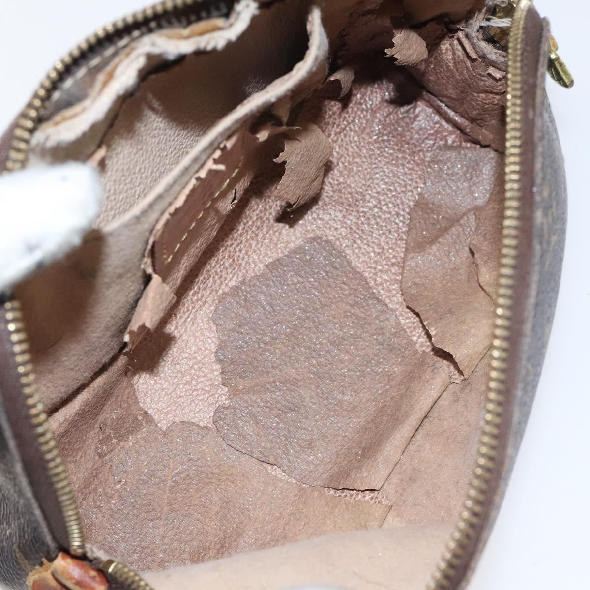 Louis Vuitton Cosmetic Pouch PM