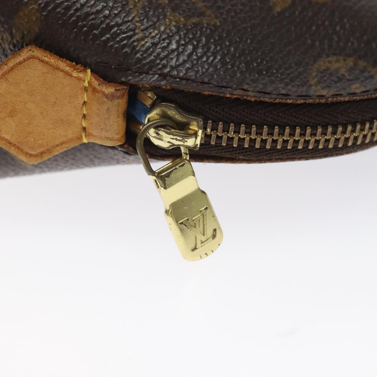 Louis Vuitton Cosmetic Pouch PM