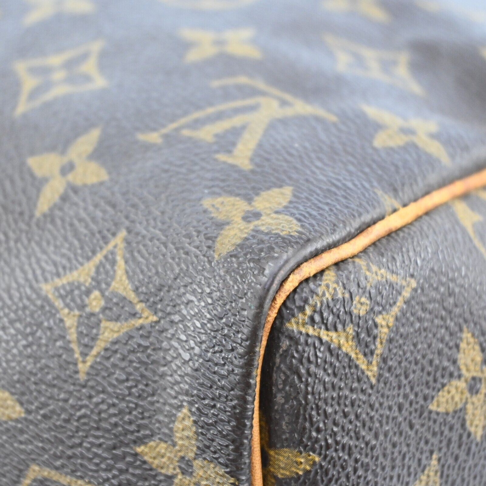 Louis Vuitton Speedy