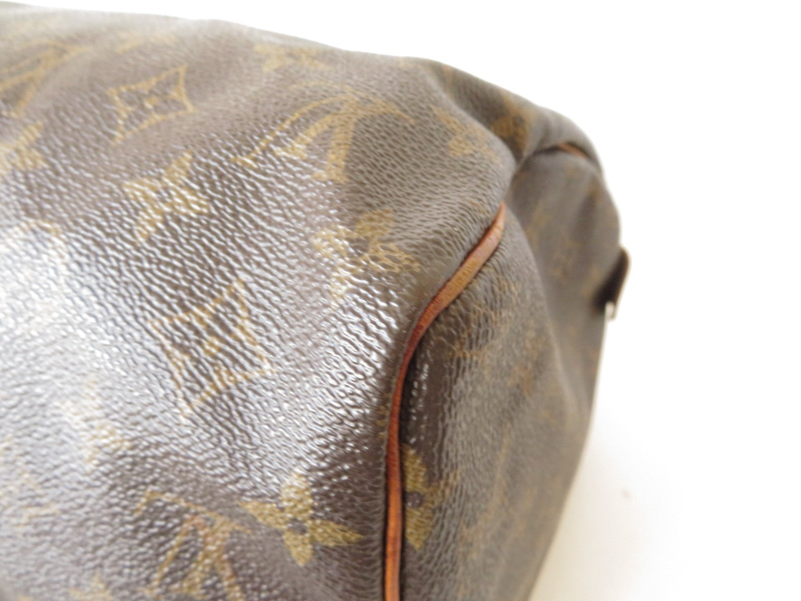 Louis Vuitton Speedy