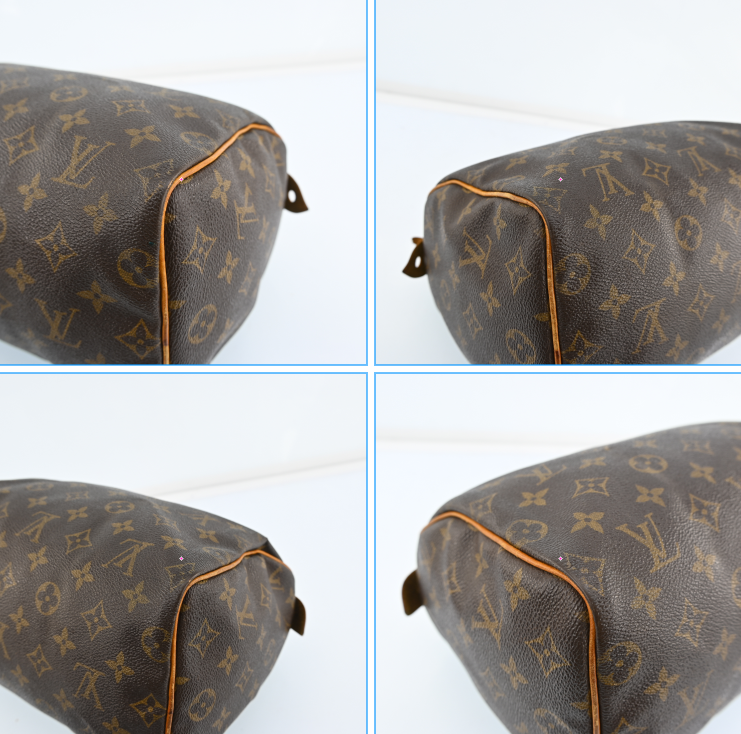 Louis Vuitton Speedy