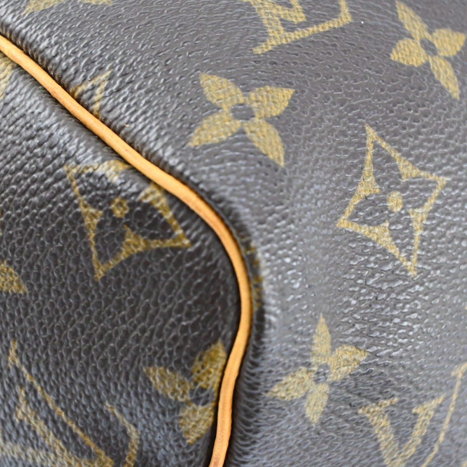 Louis Vuitton Speedy
