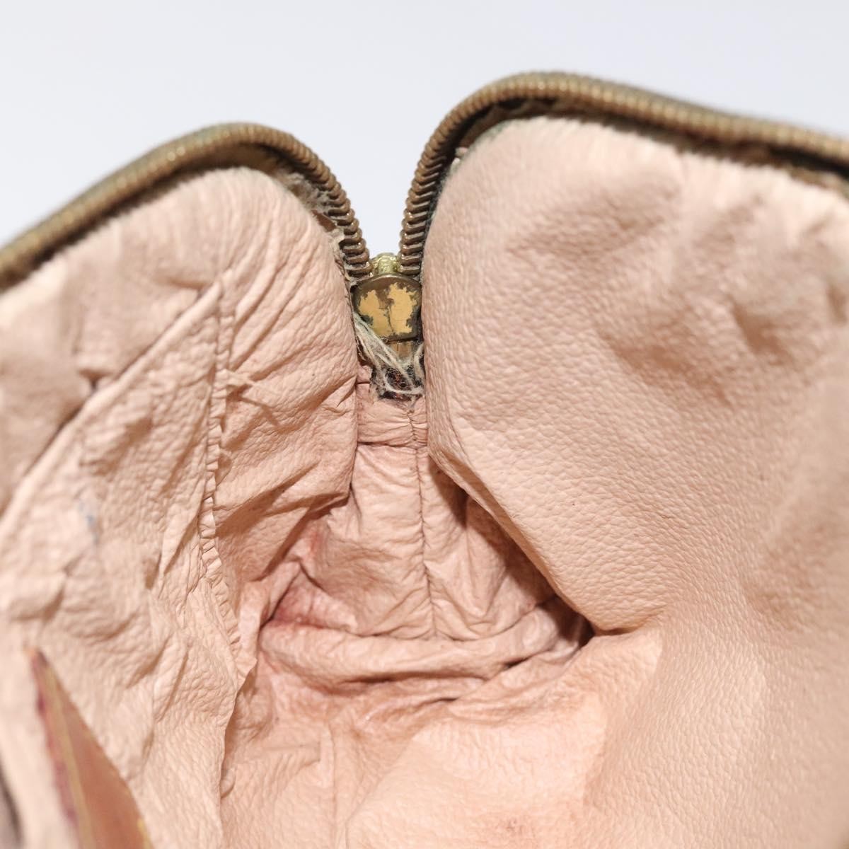 Louis Vuitton Cosmetic Pouch PM