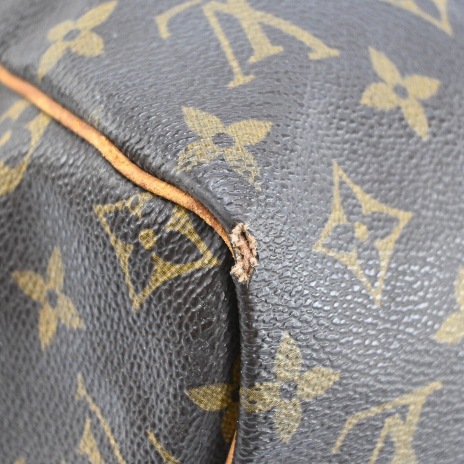 Louis Vuitton Speedy