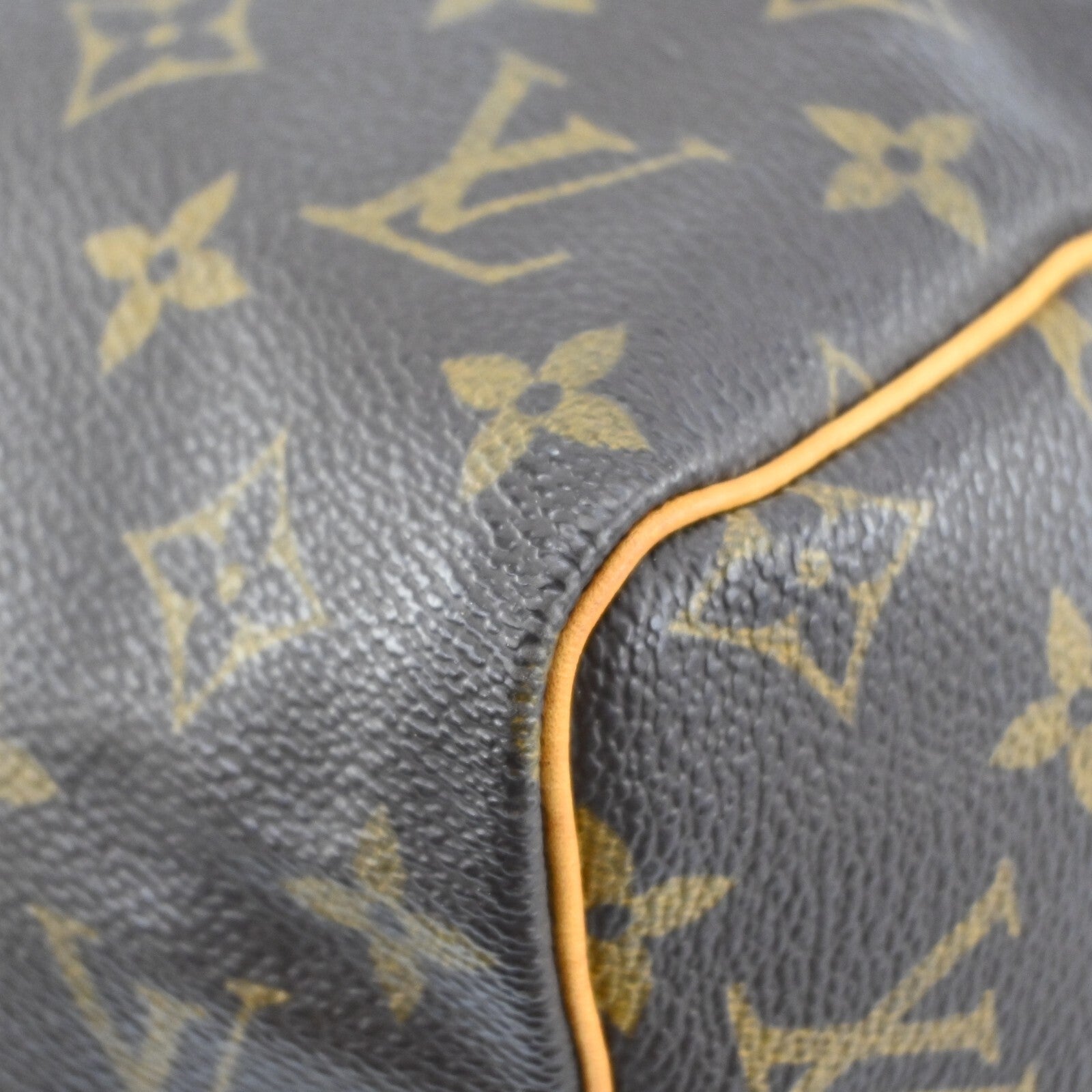 Louis Vuitton Speedy