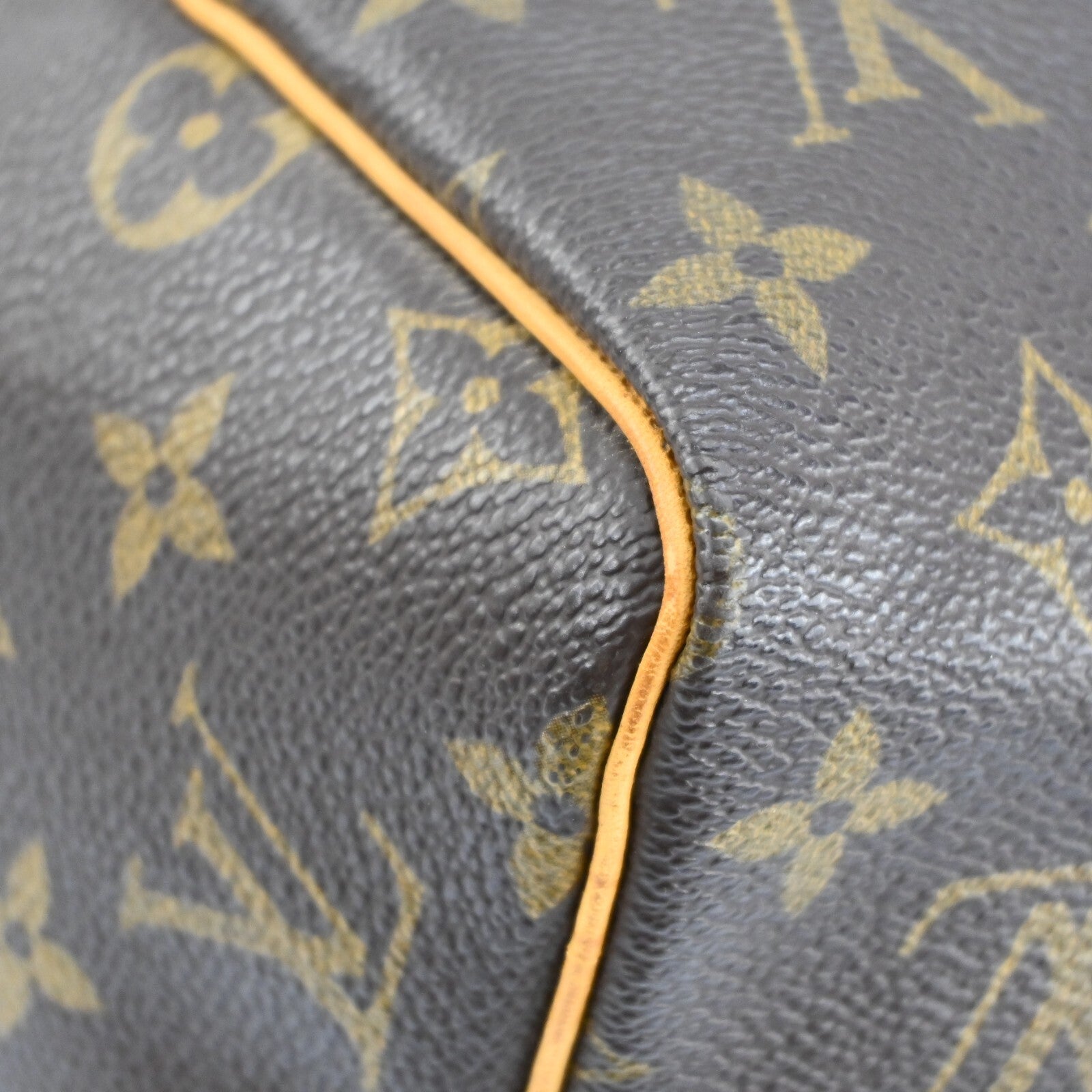 Louis Vuitton Speedy