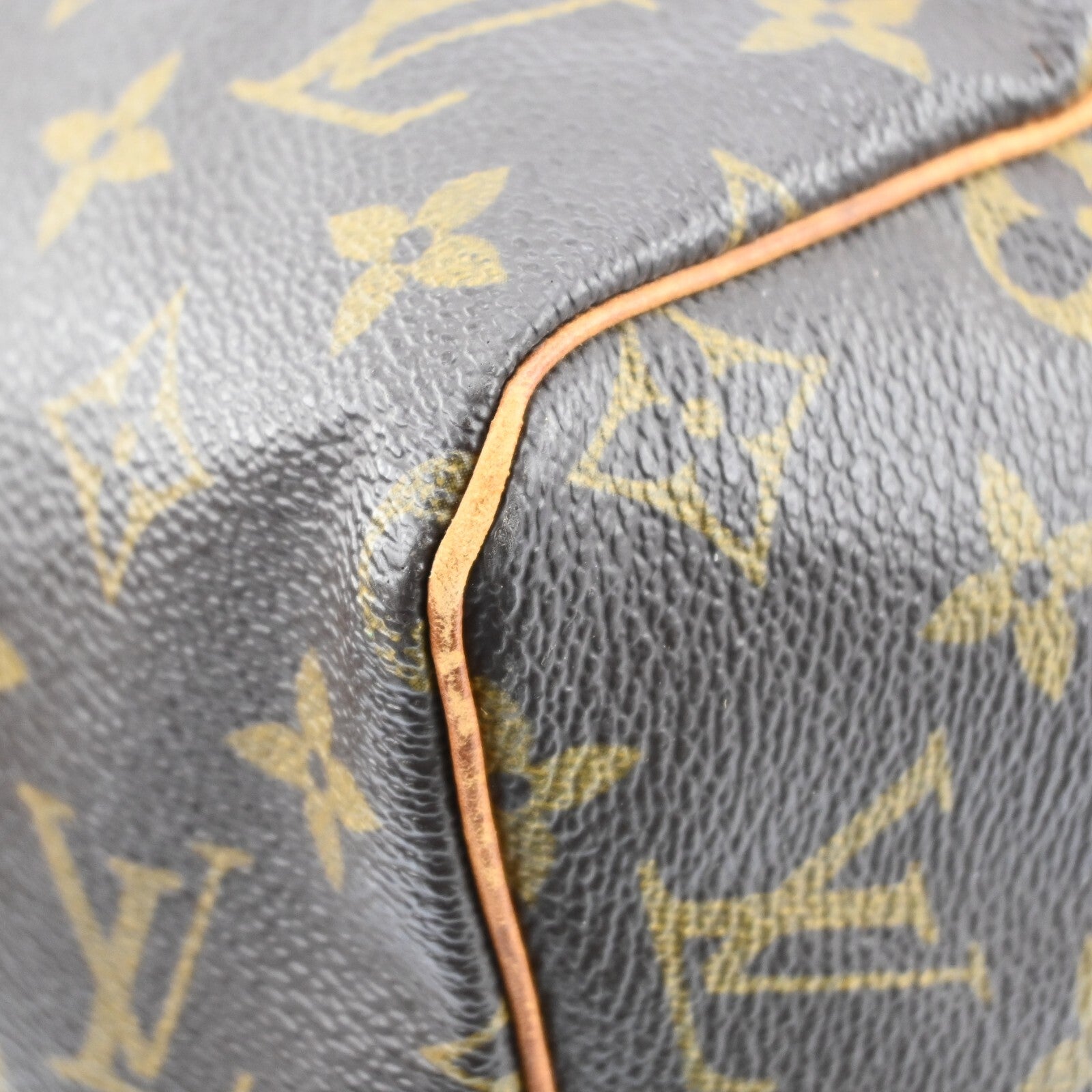Louis Vuitton Speedy