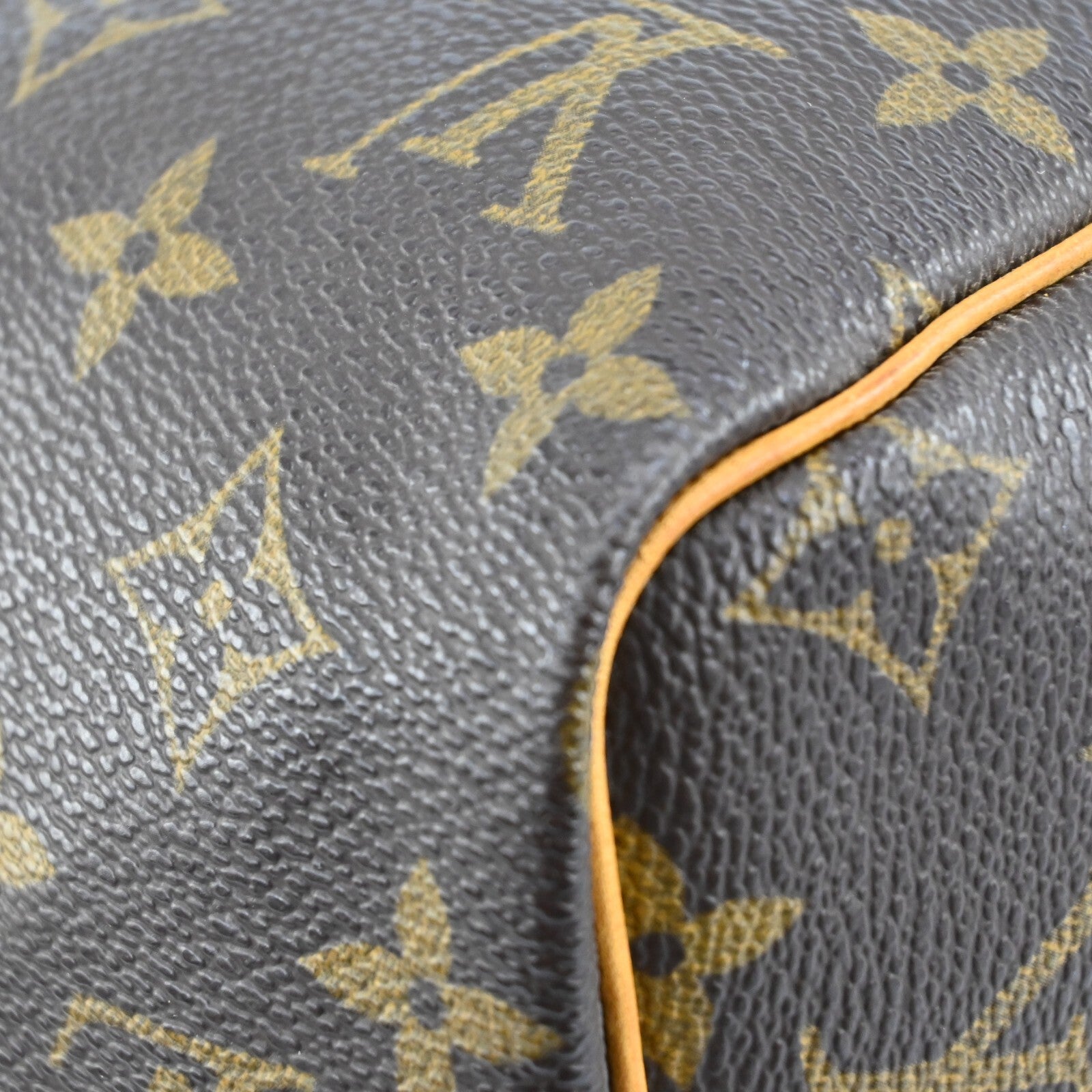 Louis Vuitton Speedy