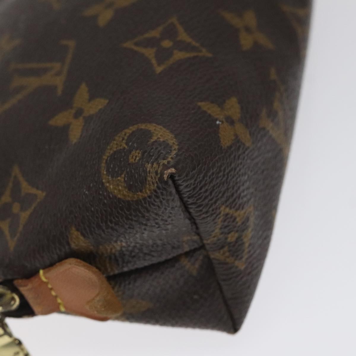 Louis Vuitton Cosmetic Pouch PM