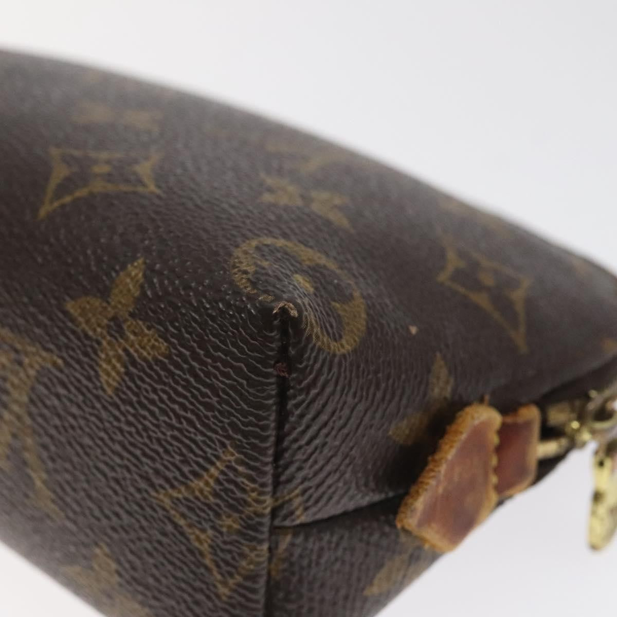 Louis Vuitton Cosmetic Pouch PM