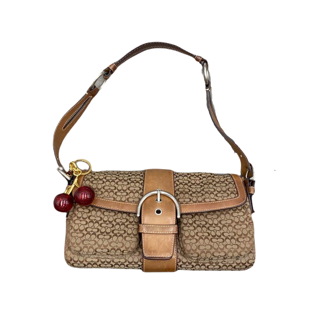 COACH SIGNATURE BAG