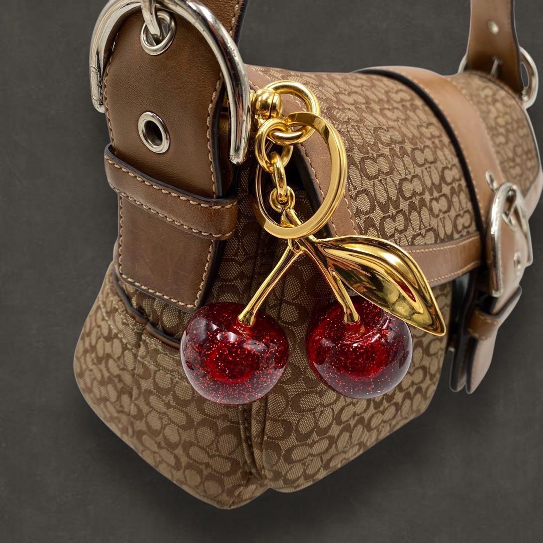 COACH SIGNATURE BAG