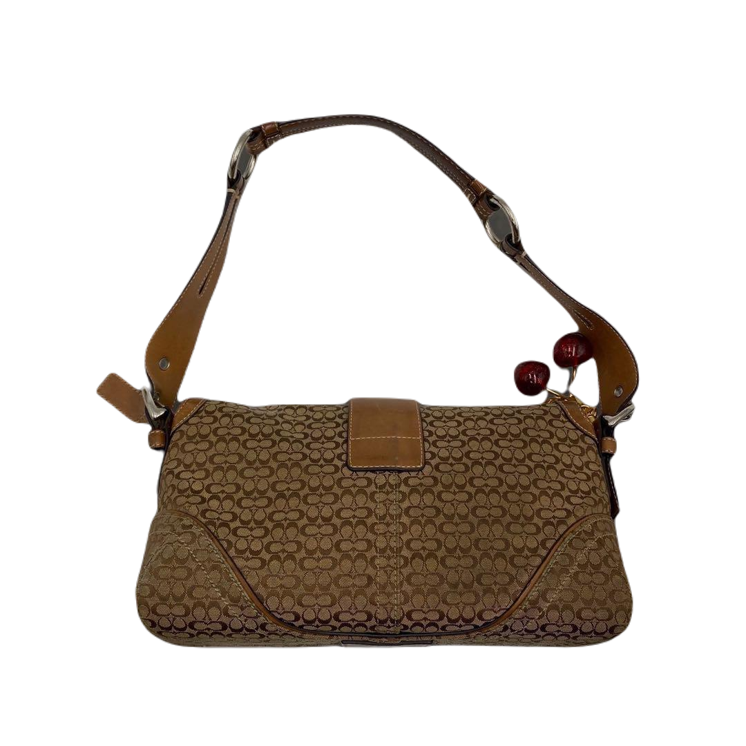 COACH SIGNATURE BAG