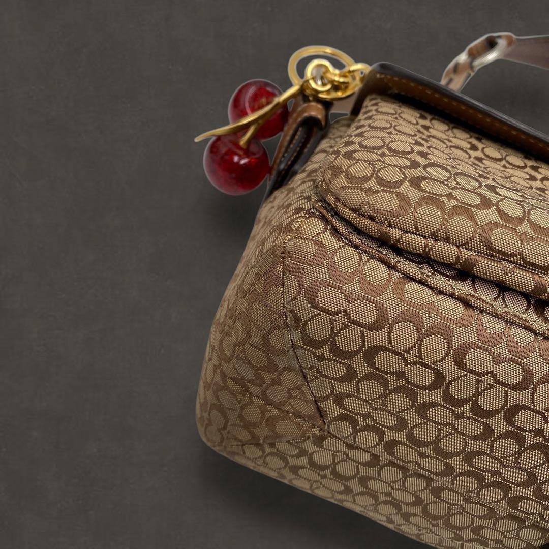 COACH SIGNATURE BAG