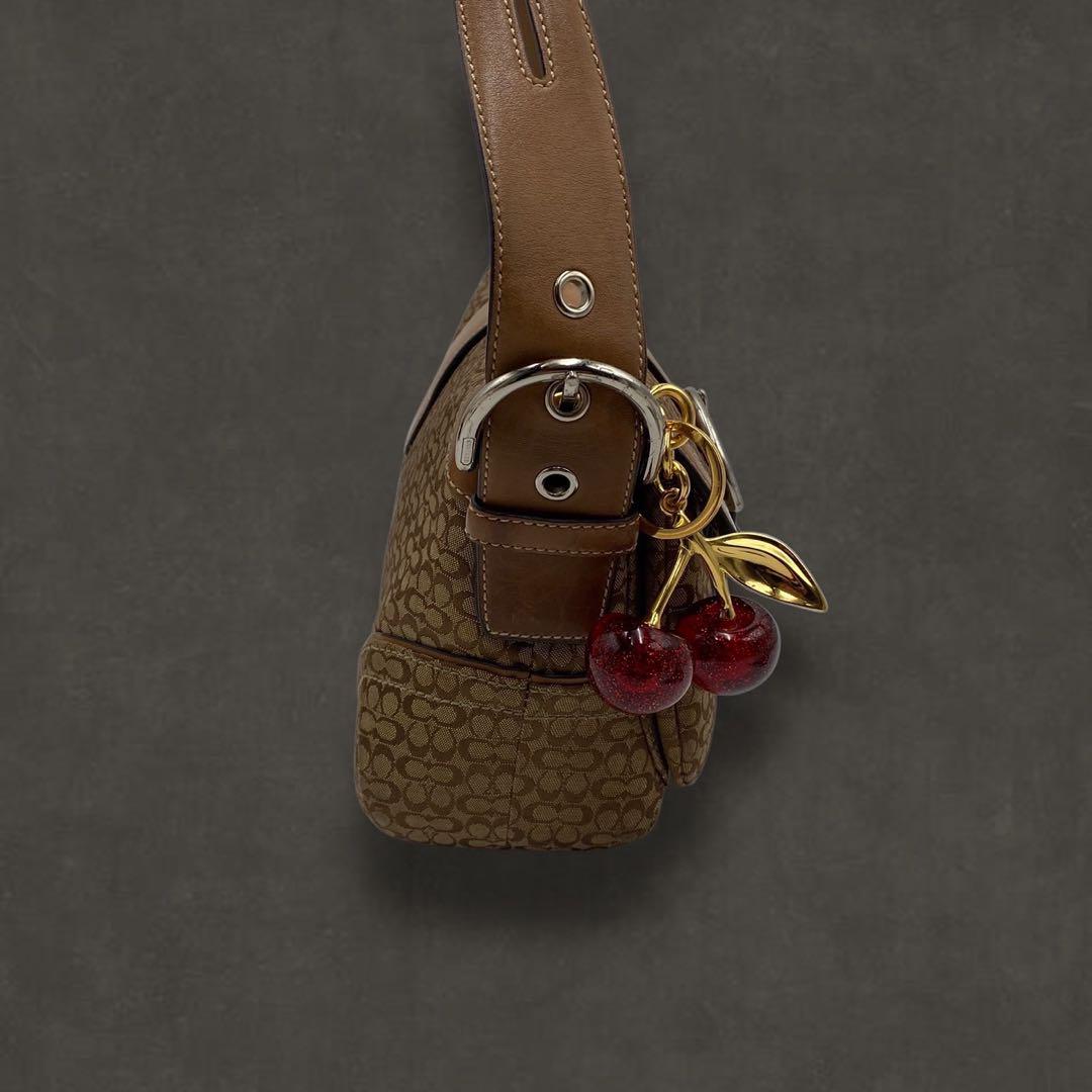 COACH SIGNATURE BAG
