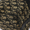 CHRISTIAN DIOR BOSTON BAG 30 TROTTER CANVAS