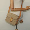 CELINE HORSE CARRIAGE BAG MACADAM CANAVS