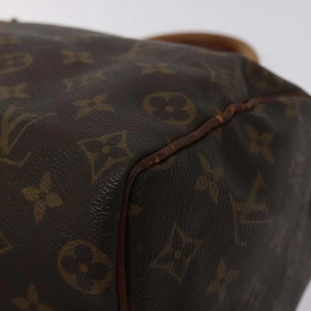 Louis Vuitton Speedy 25 Bag - Monogram Canvas