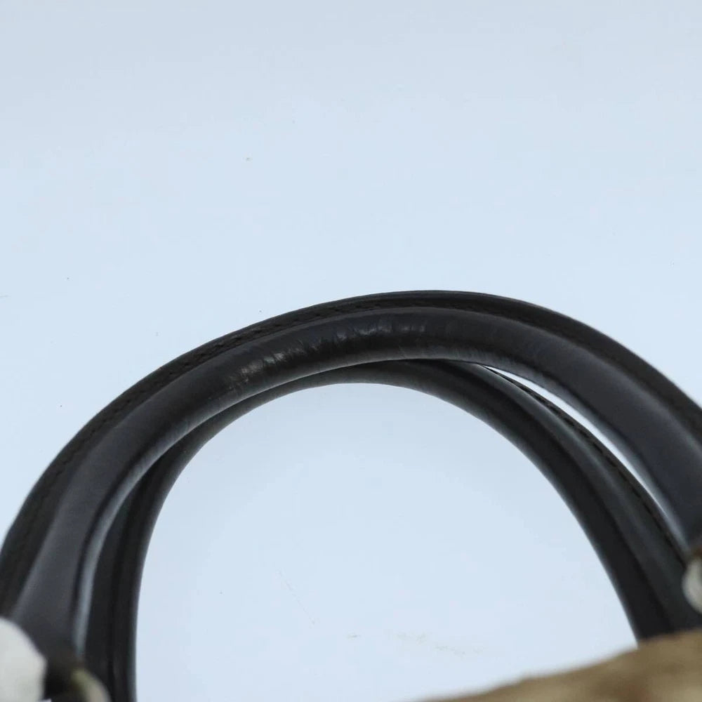 CHRISTIAN DIOR BOSTON BAG 30 TROTTER CANVAS