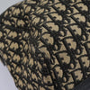 CHRISTIAN DIOR BOSTON BAG 40 TROTTER CANVAS