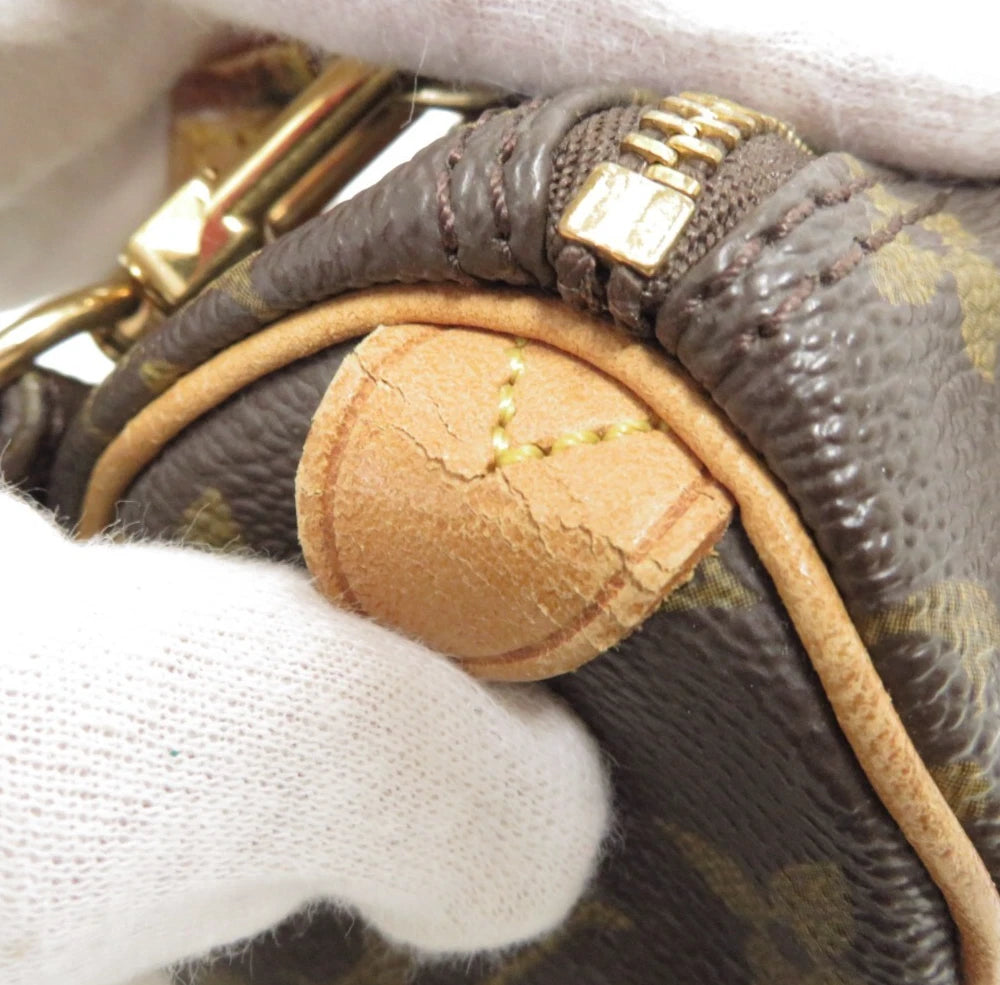 LOUIS VUITTON MINI SPEEDY BAG MONOGRAM CANVAS