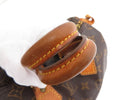 LOUIS VUITTON SPEEDY 25 BAG MONOGRAM CANVAS