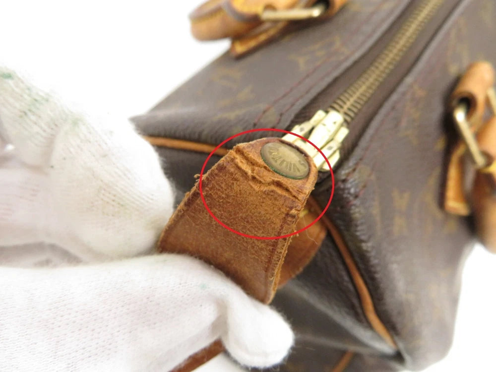 LOUIS VUITTON SPEEDY 25 BAG MONOGRAM CANVAS