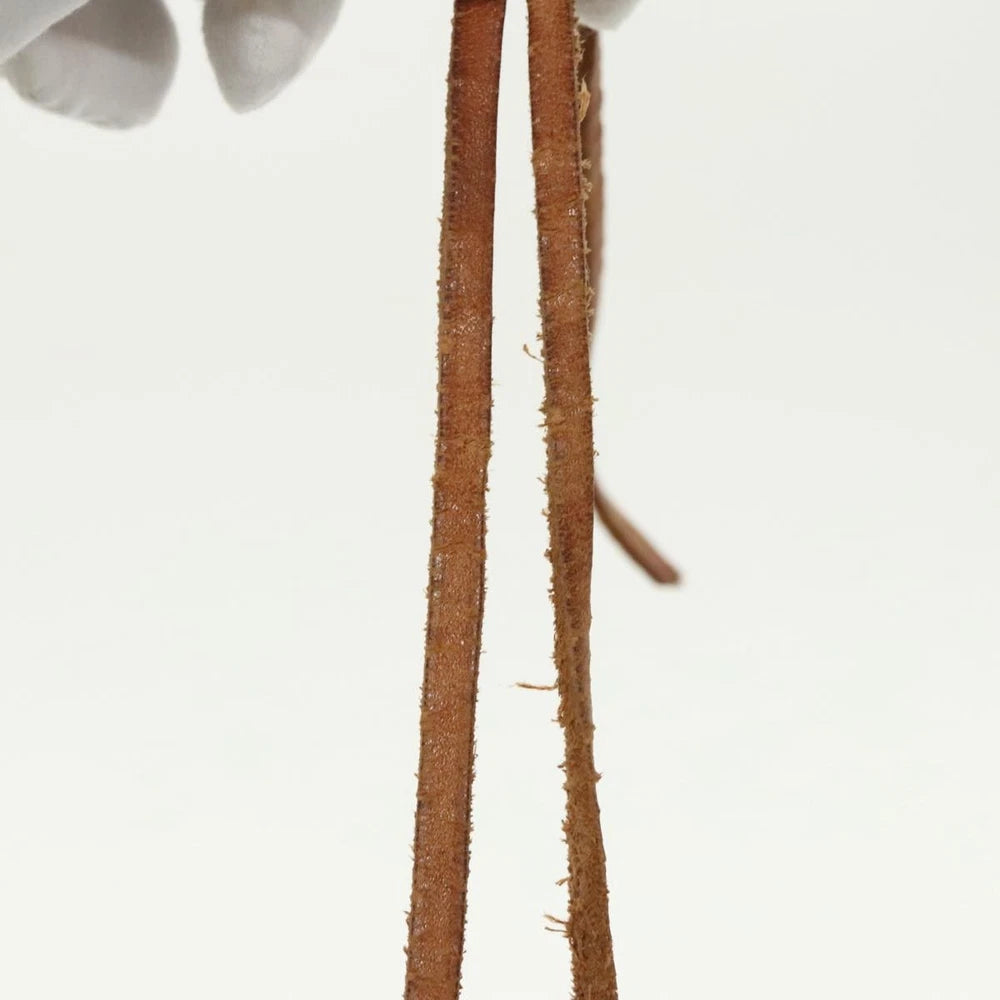 Louis Vuitton Noe GM - Monogram Canvas