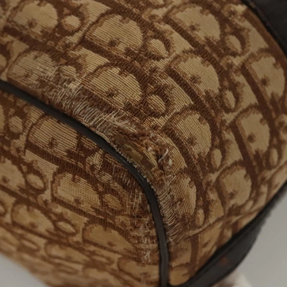 CHRISTIAN DIOR BOSTON BAG 30 TROTTER CANVAS