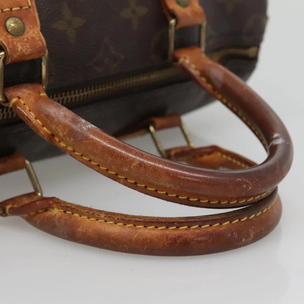 LOUIS VUITTON SPEEDY 25 BAG MONOGRAM CANVAS