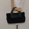 Celine Boogie Bag -C Macadam Canvas
