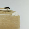 CELINE BOOGIE BAG STRAW