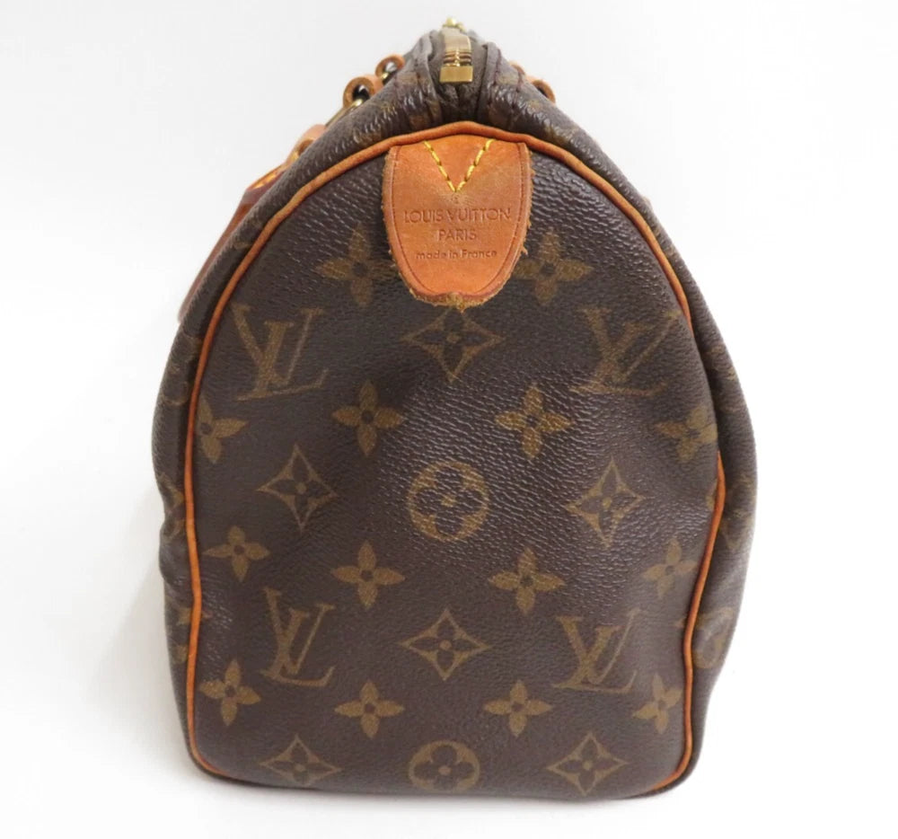 LOUIS VUITTON SPEEDY 25 BAG MONOGRAM CANVAS