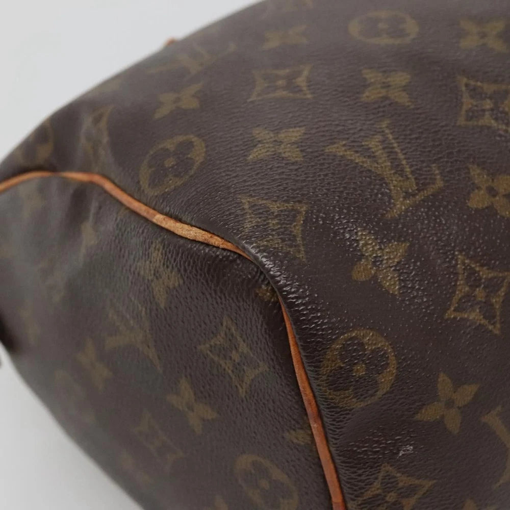 LOUIS VUITTON SPEEDY 25 BAG MONOGRAM CANVAS