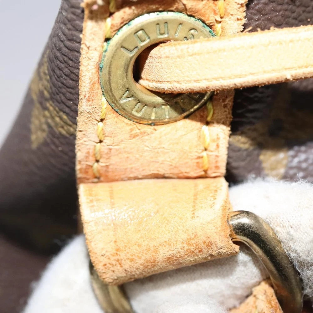 Louis Vuitton Noe Bag - Monogram Canvas