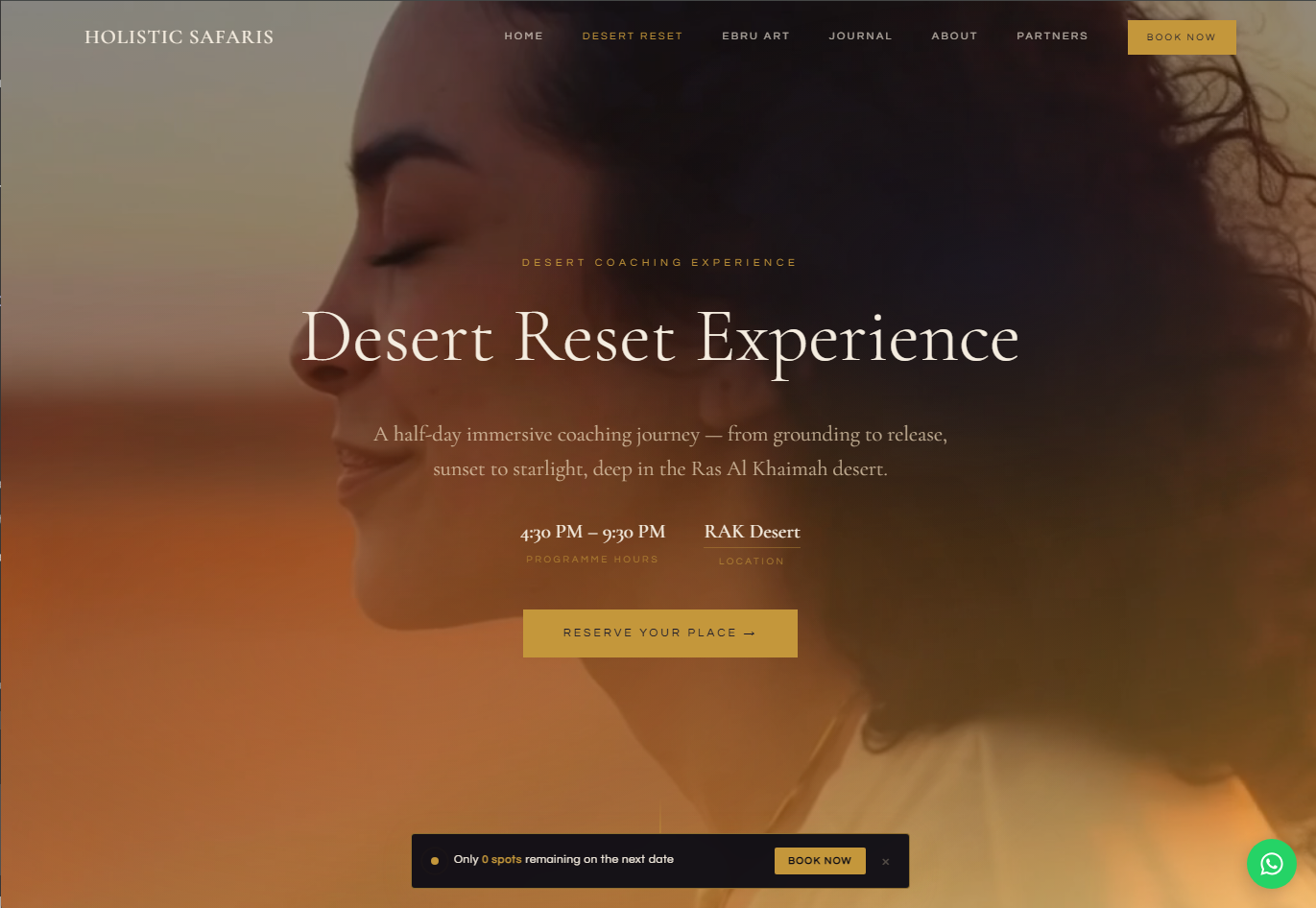 Holistic Safaris project screenshot